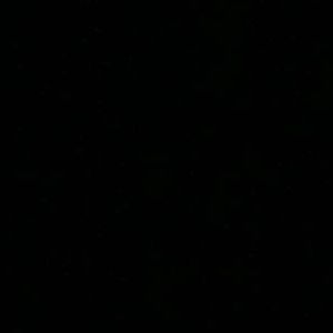 Meet your Posher, Tony